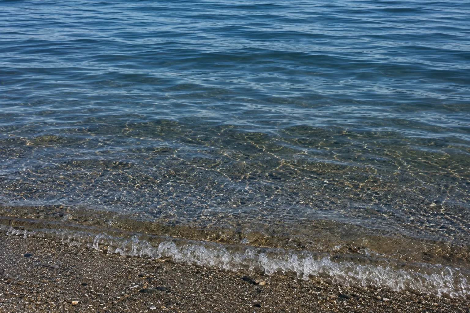 Puget Sound shoreline near Seattle — the watershed protected when dog waste is properly removed instead of washing into stormwater.